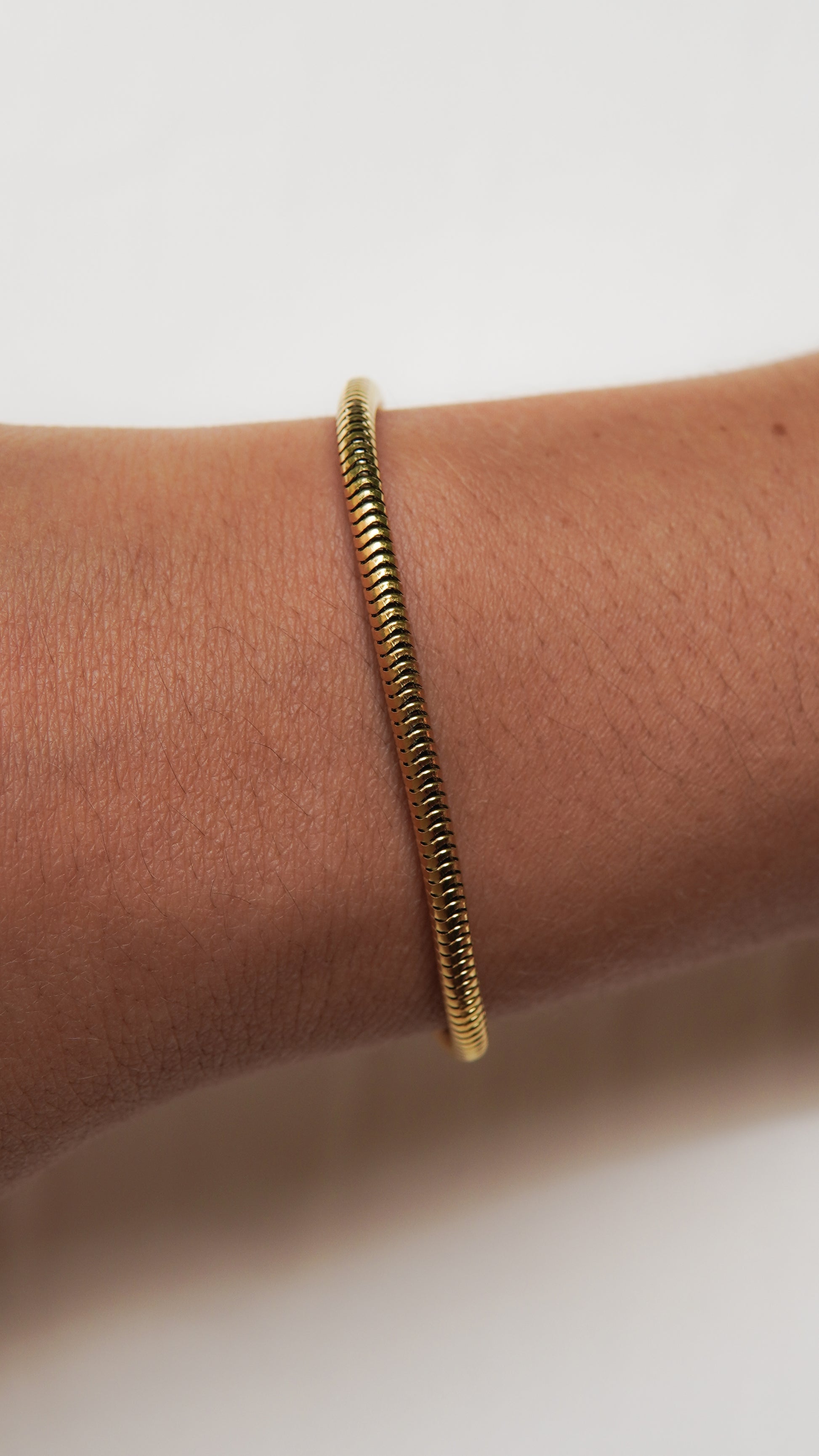 Brazalete Serpiente