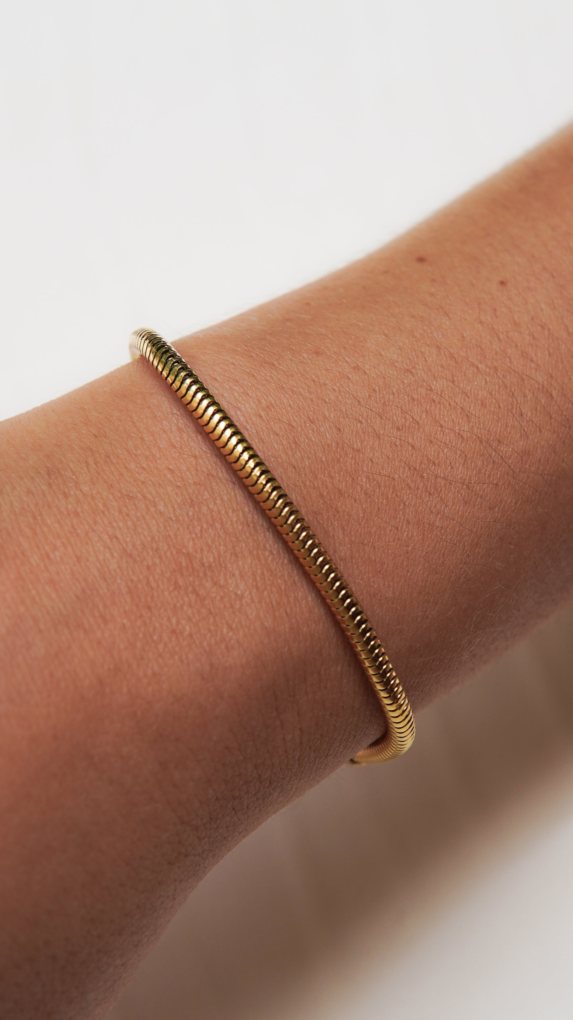 Brazalete Serpiente