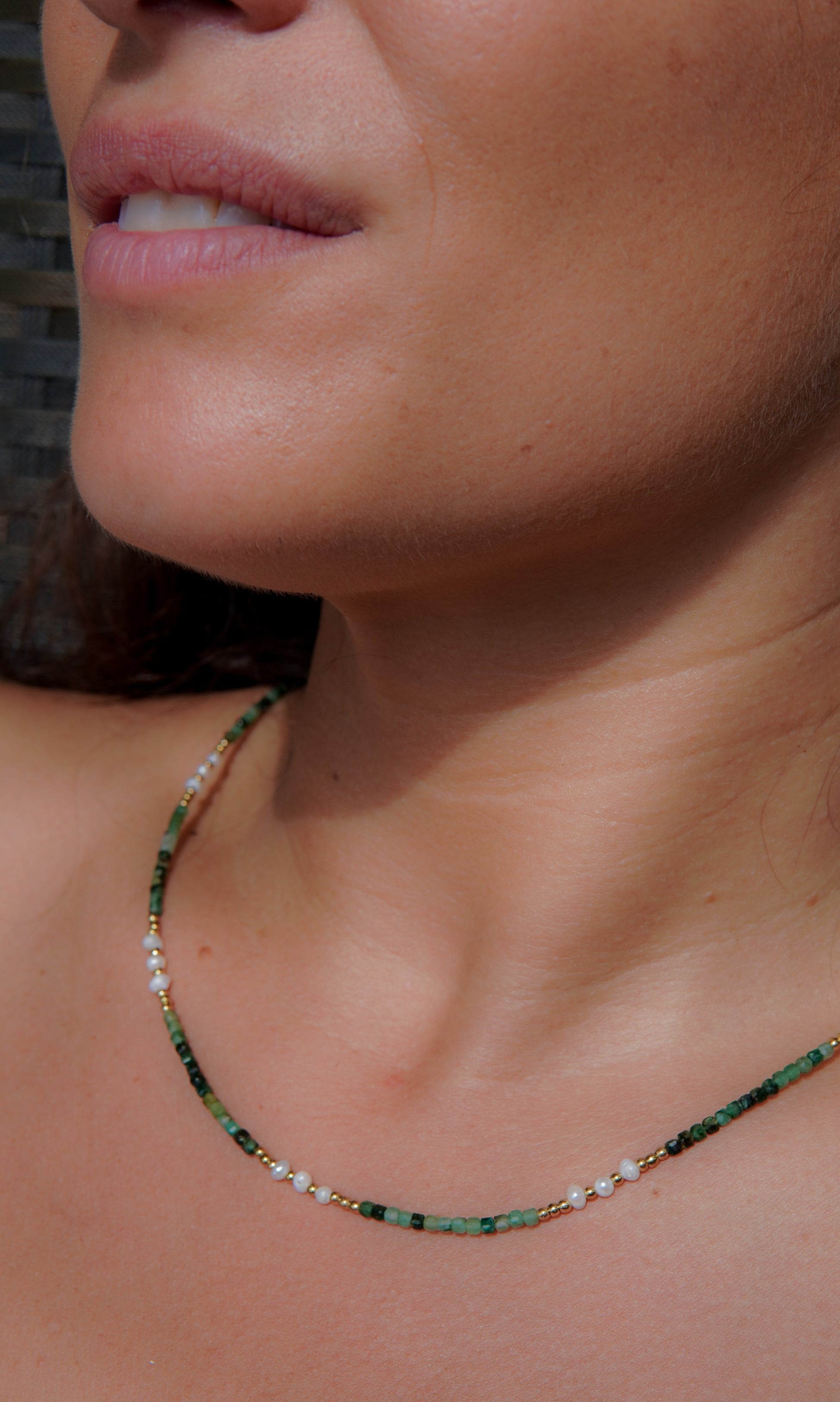 Collar Trópico