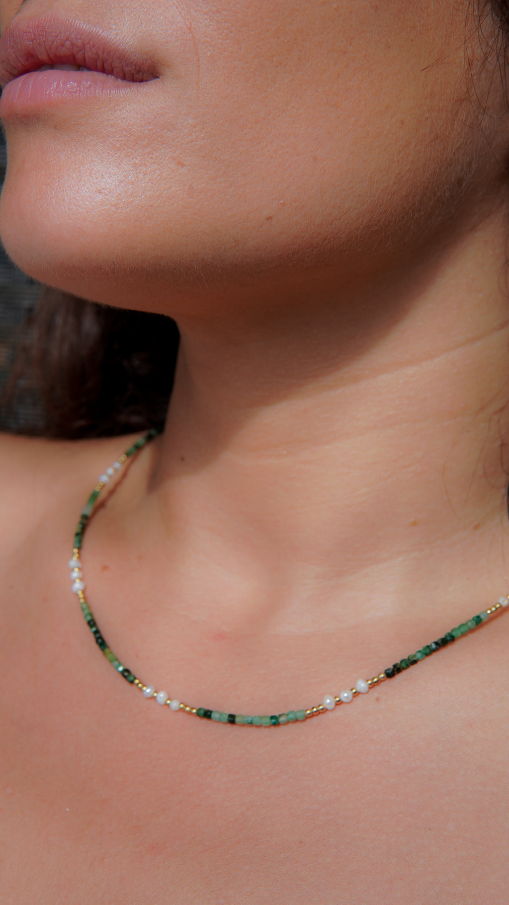 Collar Trópico