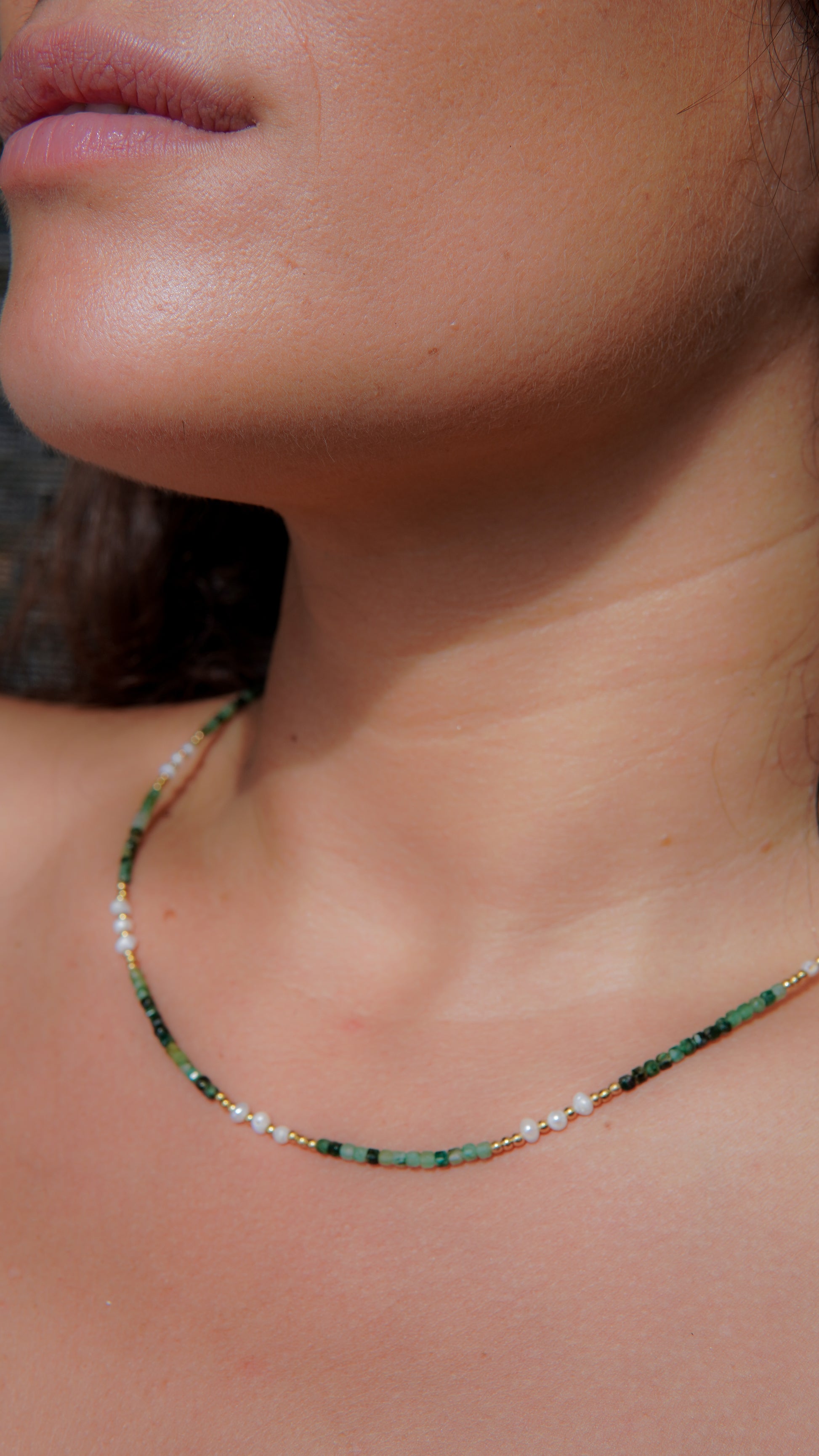 Collar Trópico