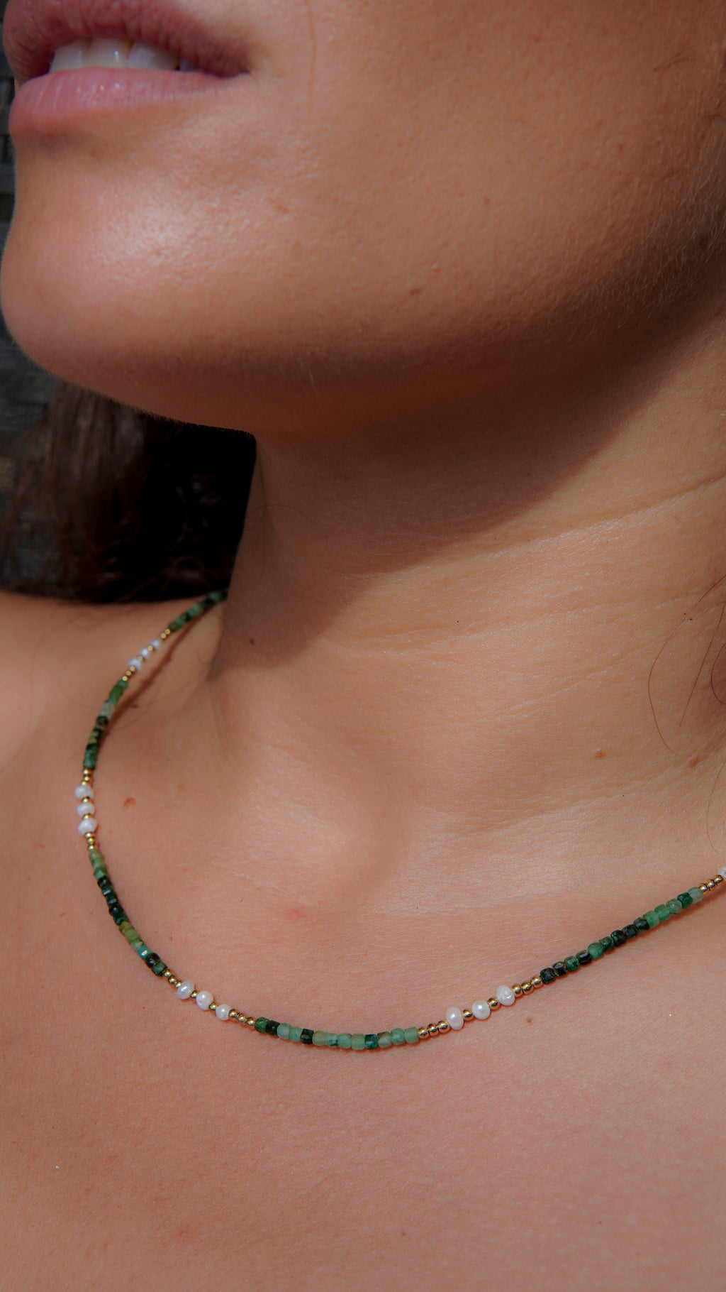 Collar Trópico