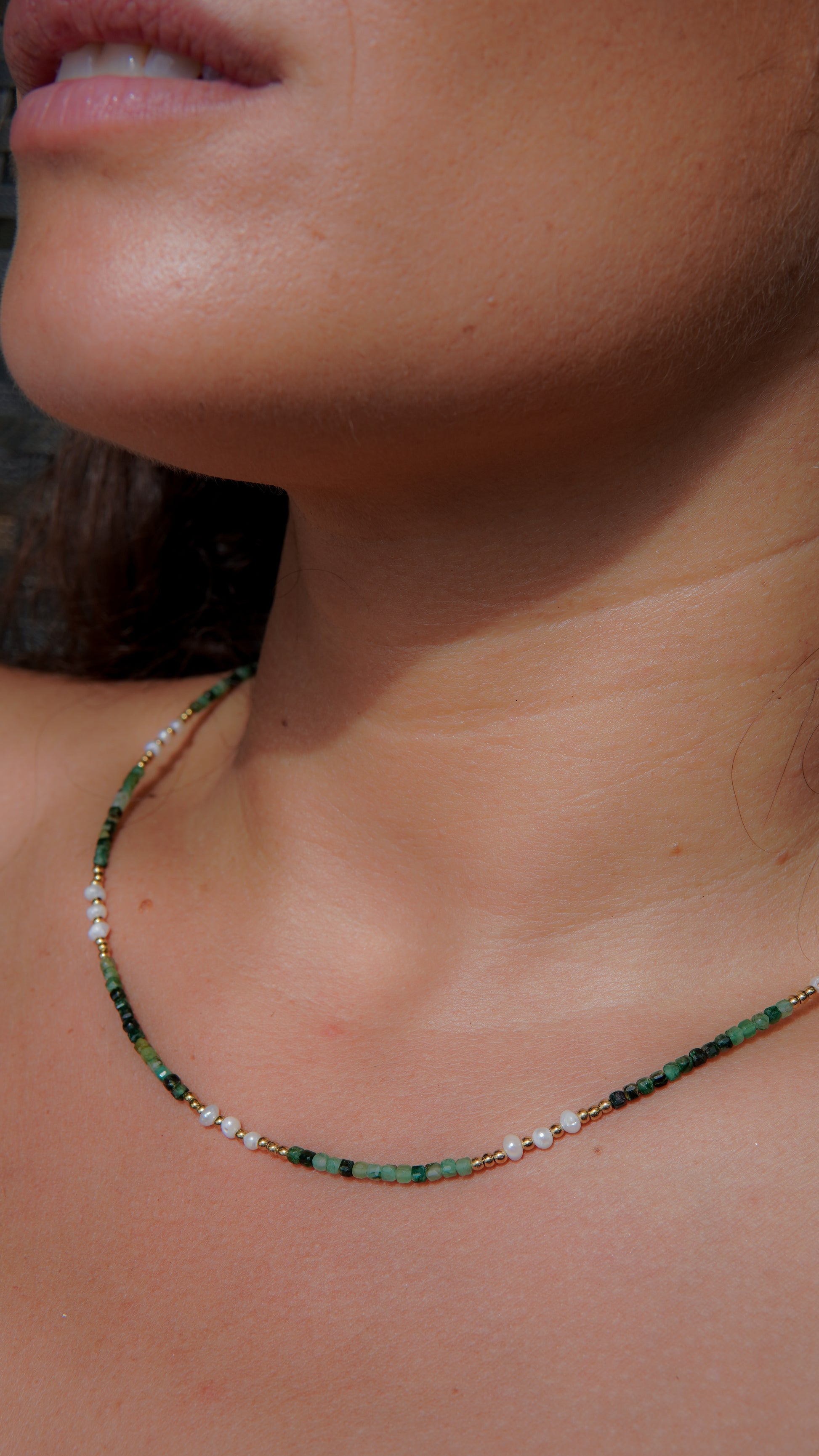 Collar Trópico