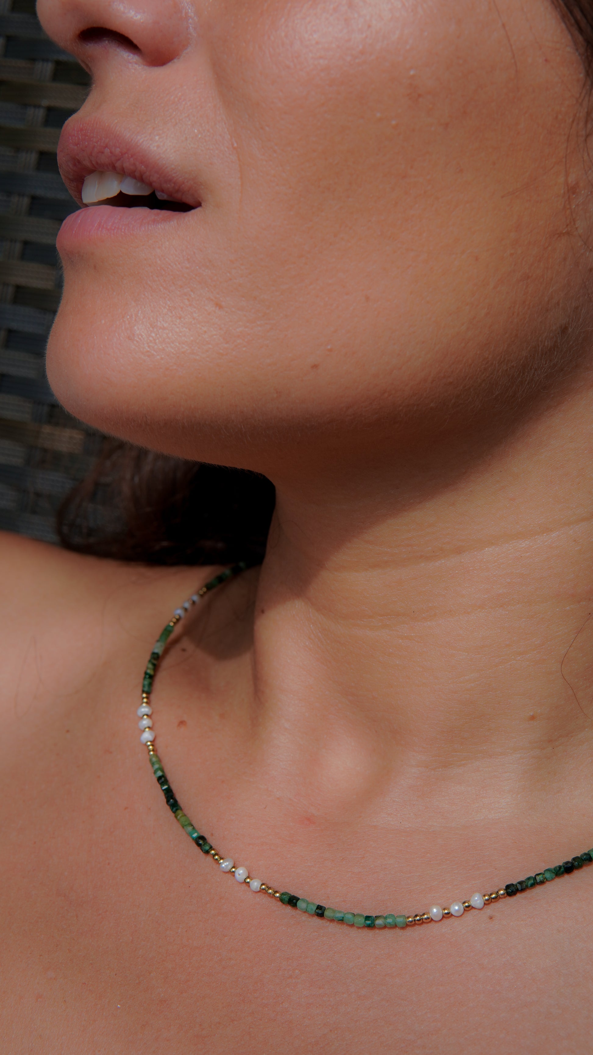 Collar Trópico
