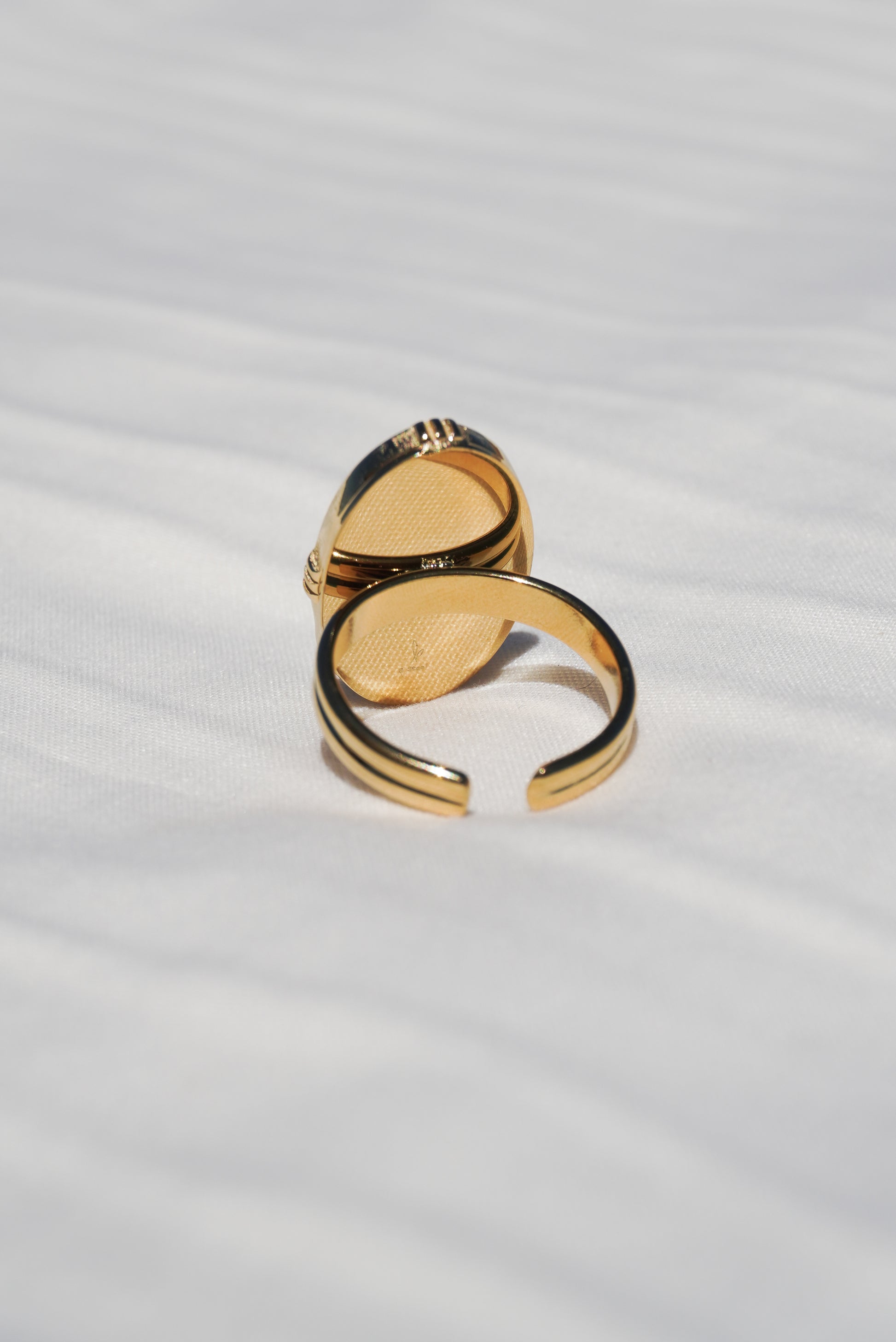 Anillo Naia