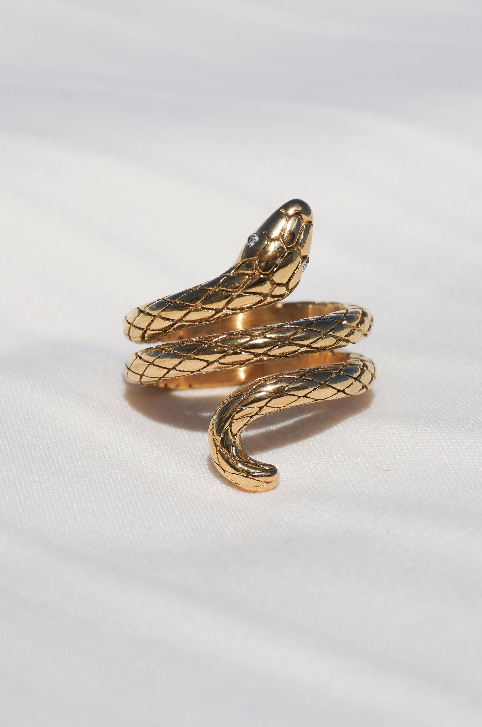 Anillo Serpiente