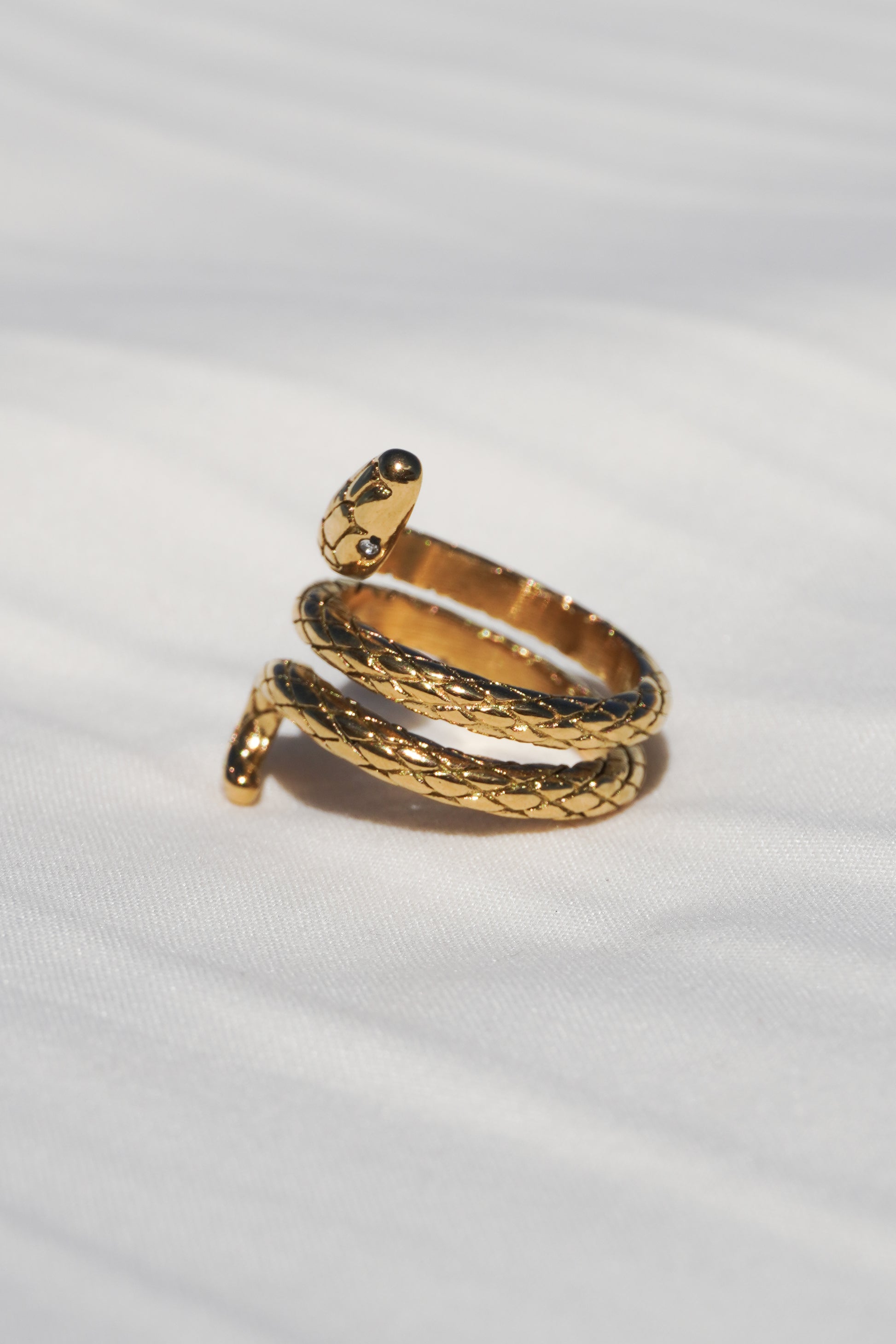 Anillo Serpiente
