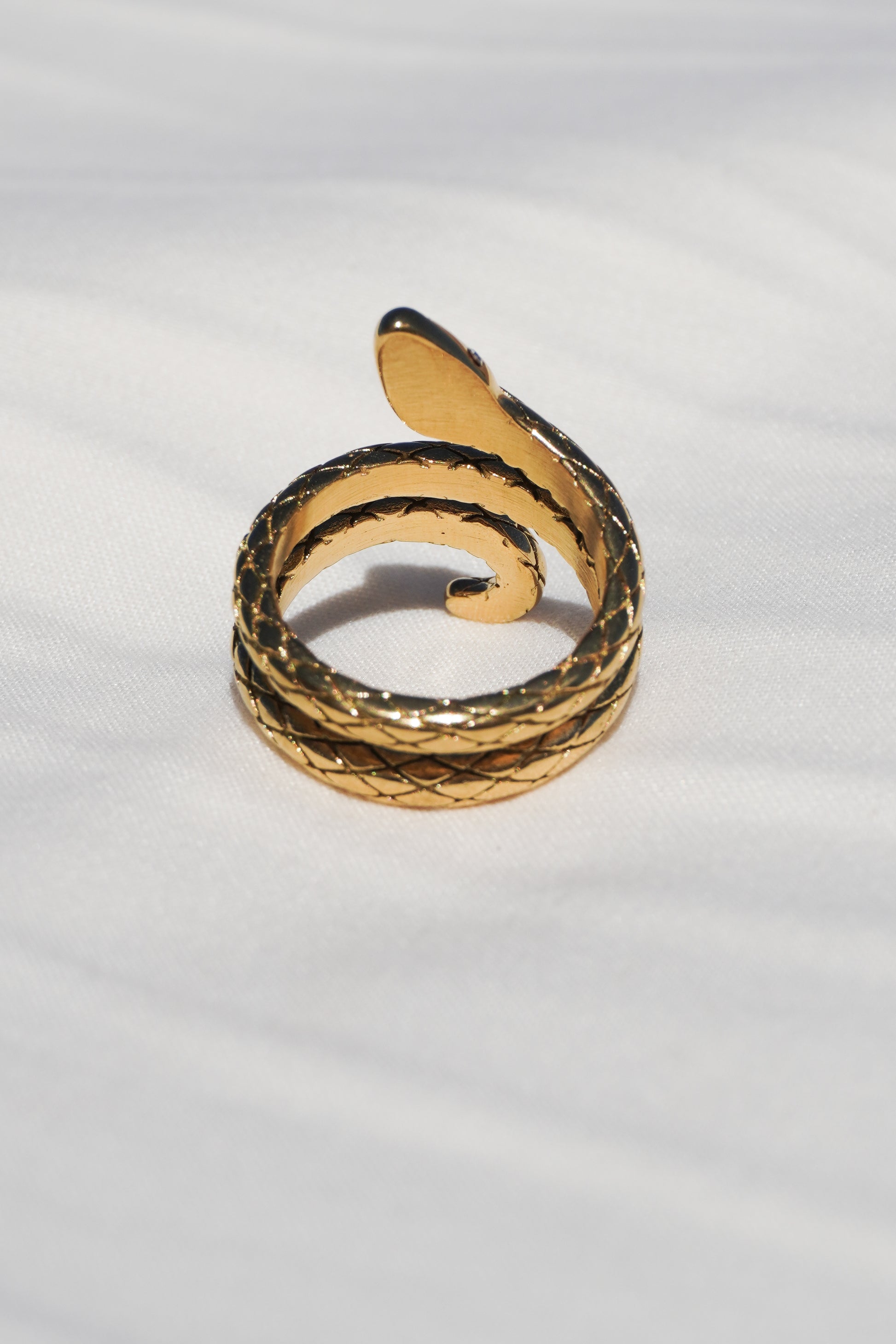 Anillo Serpiente